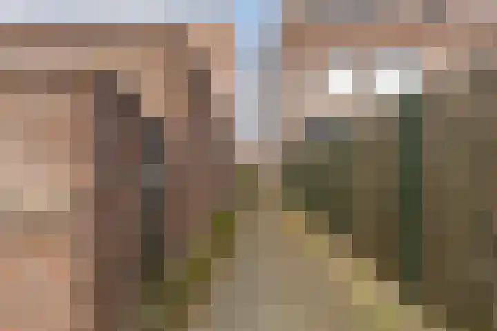 Boelijn 14 Almere thumbnail 45