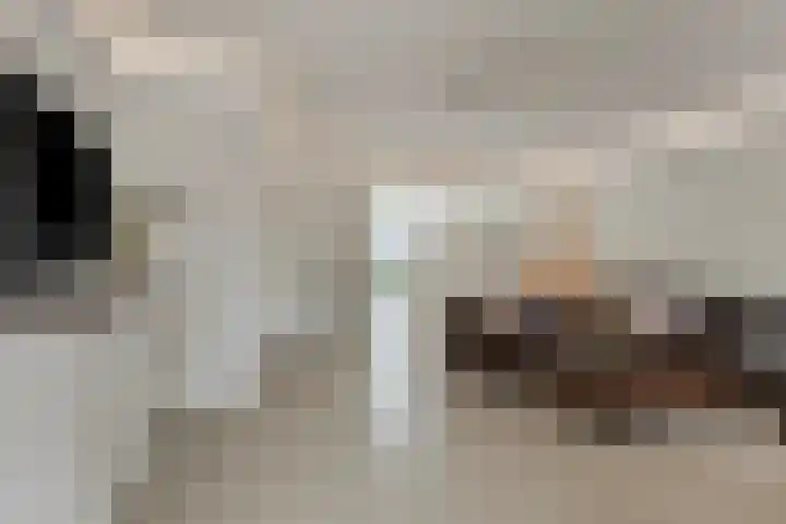 Boelijn 14 Almere thumbnail 5
