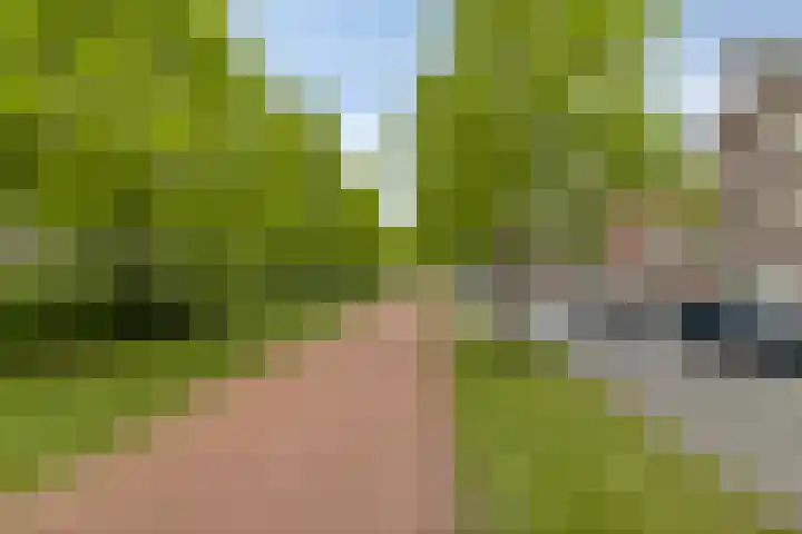 Boelijn 14 Almere thumbnail 50