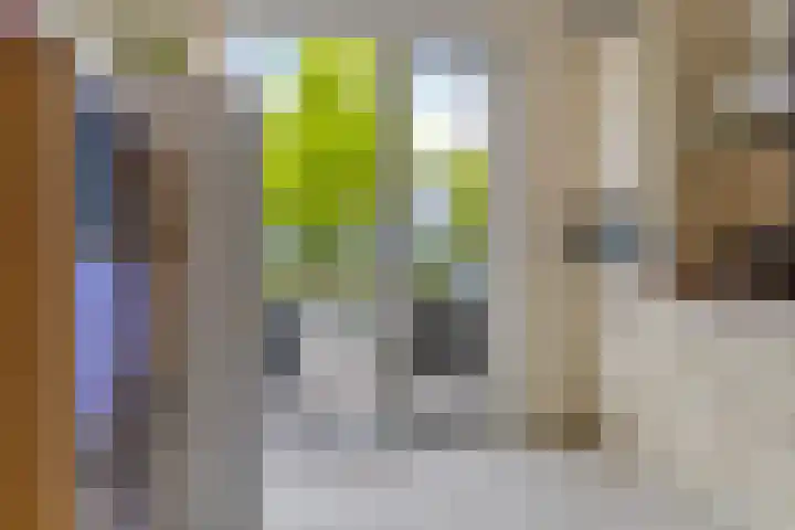 Boelijn 14 Almere thumbnail 8
