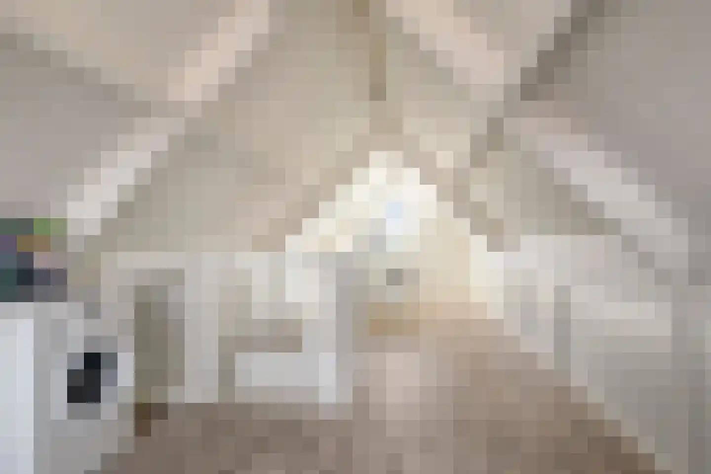 Boelijn 150 Almere thumbnail 25