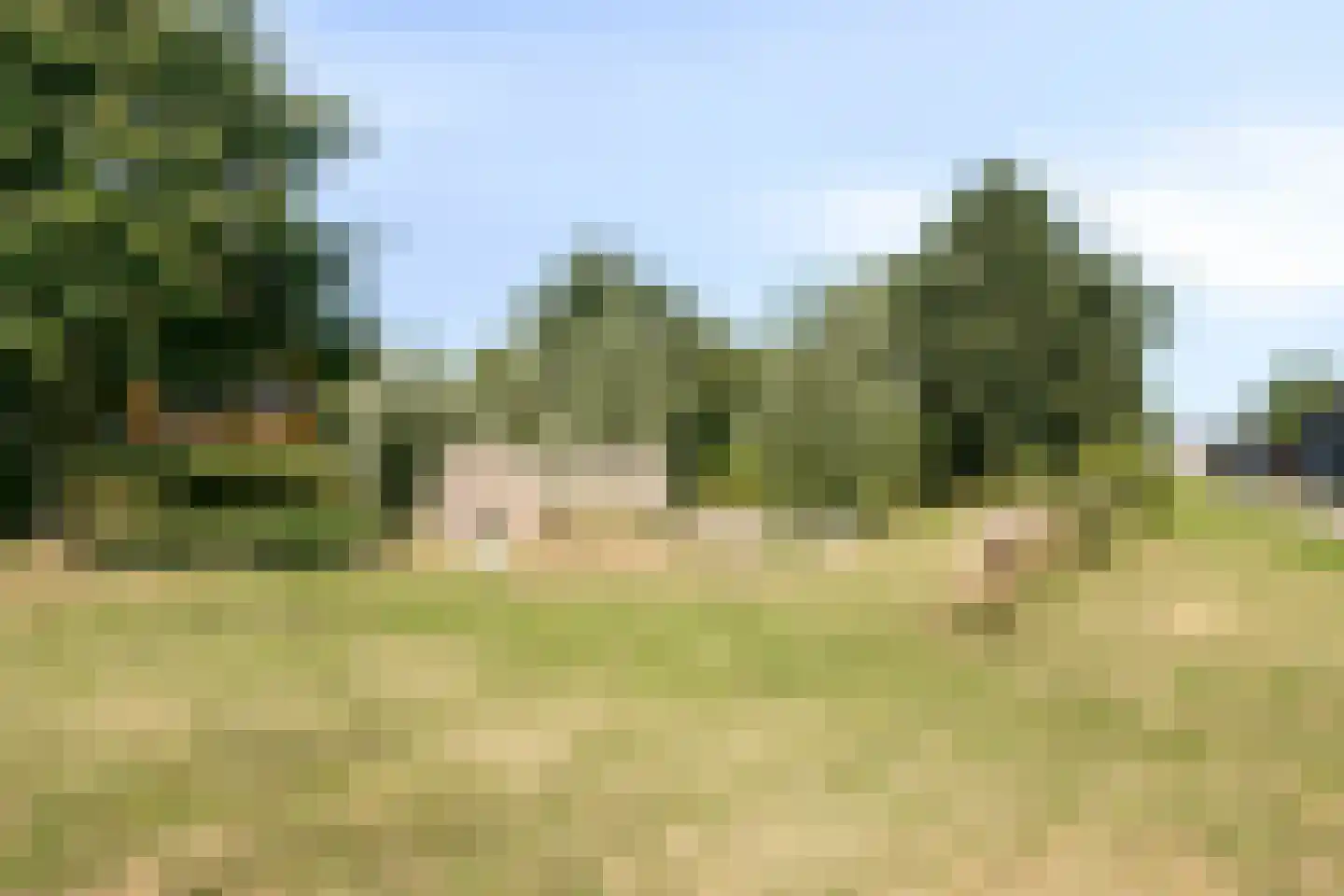 Boelijn 150 Almere thumbnail 36