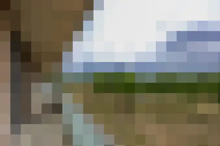 Boelijn 165 Almere thumbnail 11