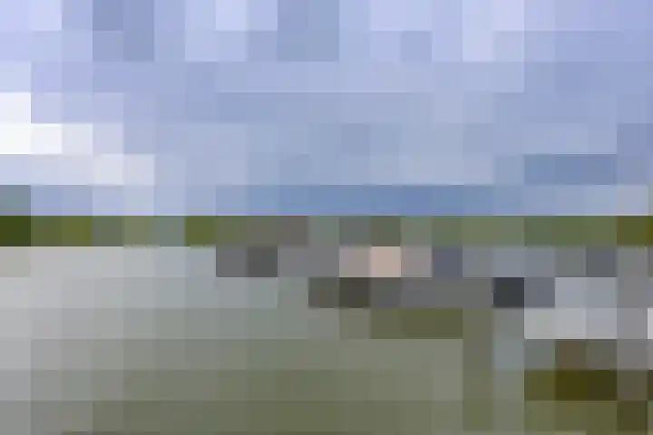 Boelijn 165 Almere thumbnail 33