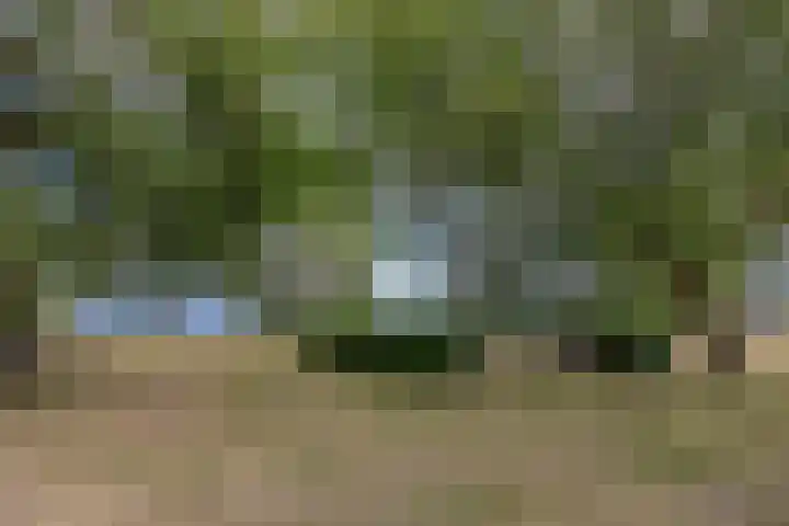 Boelijn 165 Almere thumbnail 42