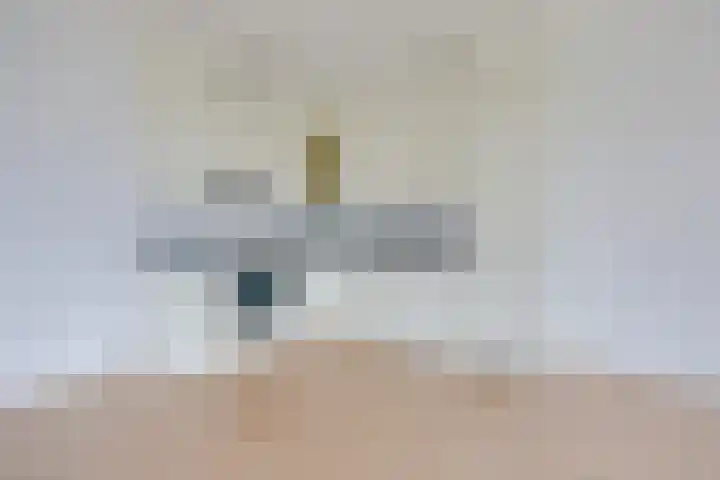 Boelijn 165 Almere thumbnail 8