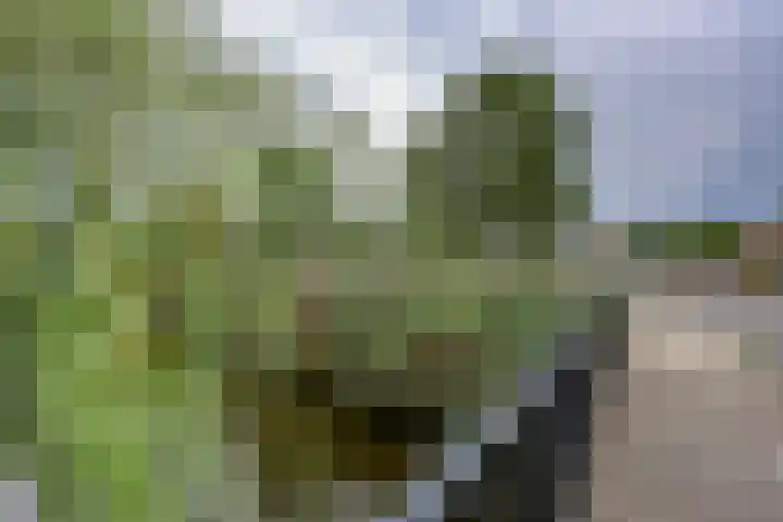 Boelijn 167 Almere thumbnail 39