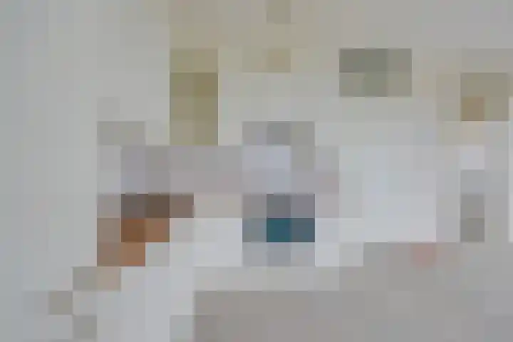 Boelijn 187 Almere thumbnail 12