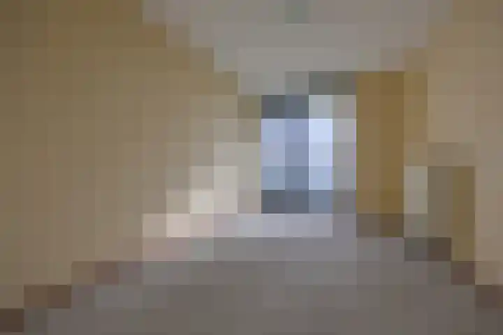Boelijn 187 Almere thumbnail 17