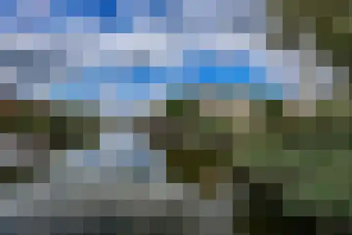 Boelijn 187 Almere thumbnail 49
