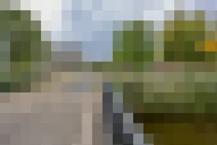 Boelijn 187 Almere thumbnail 51