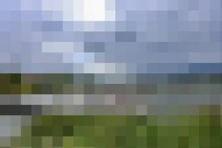Boelijn 187 Almere thumbnail 52