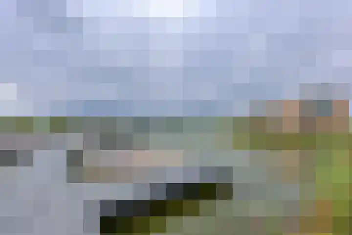 Boelijn 187 Almere thumbnail 53