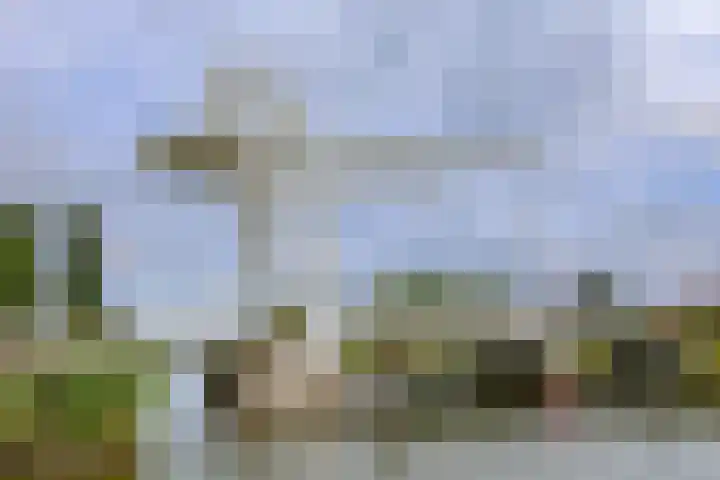 Boelijn 187 Almere thumbnail 54