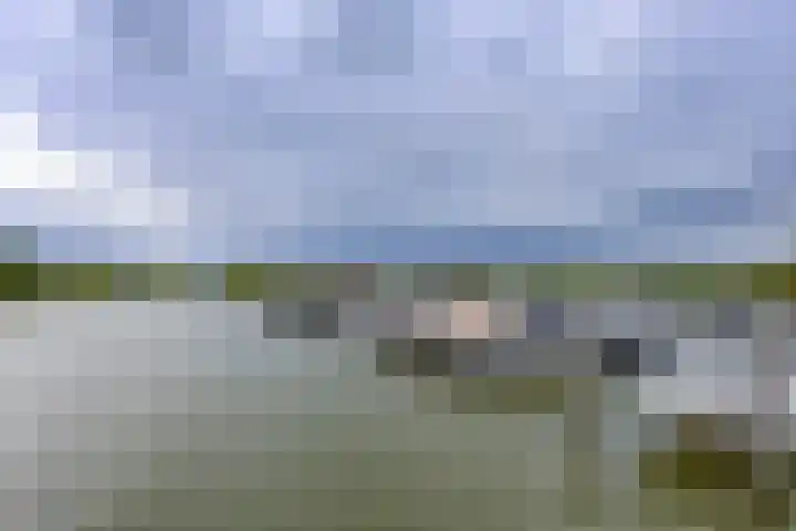 Boelijn 187 Almere thumbnail 55