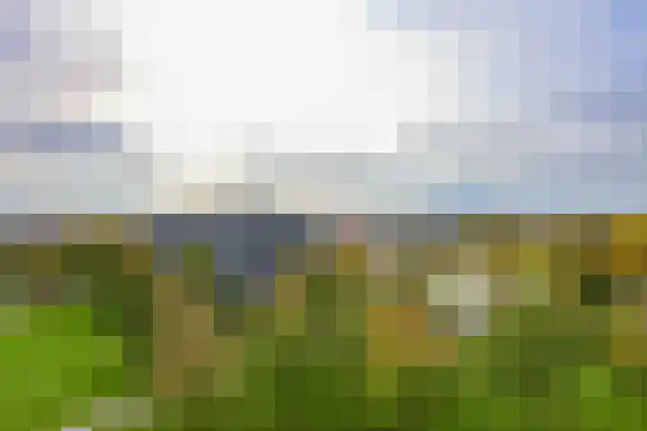 Boelijn 187 Almere thumbnail 57