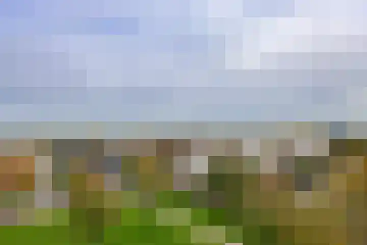Boelijn 187 Almere thumbnail 58