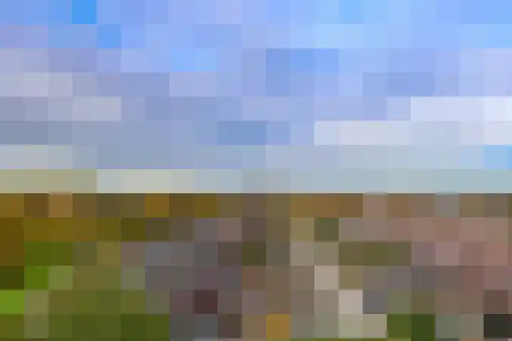 Boelijn 187 Almere thumbnail 59