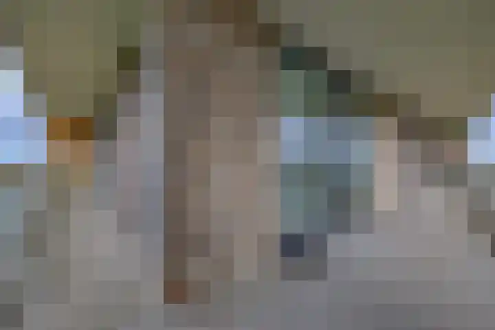 Boelijn 187 Almere thumbnail 6