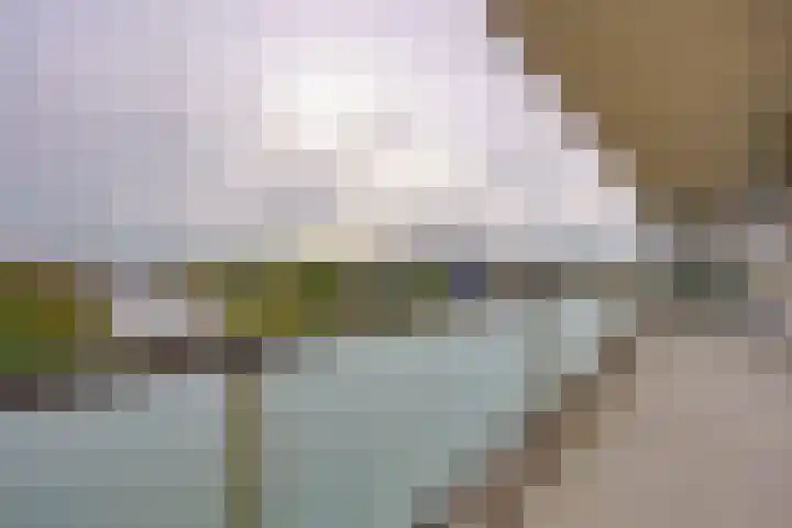Boelijn 187 Almere thumbnail 8