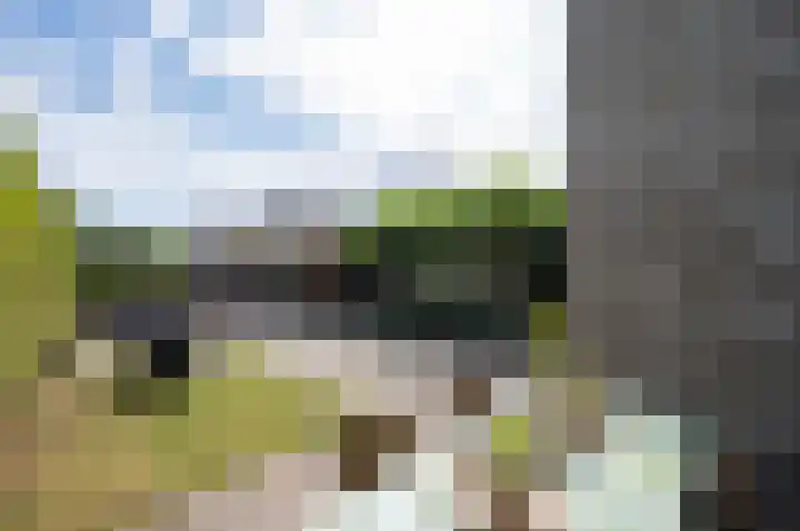Boelijn 194 Almere thumbnail 16