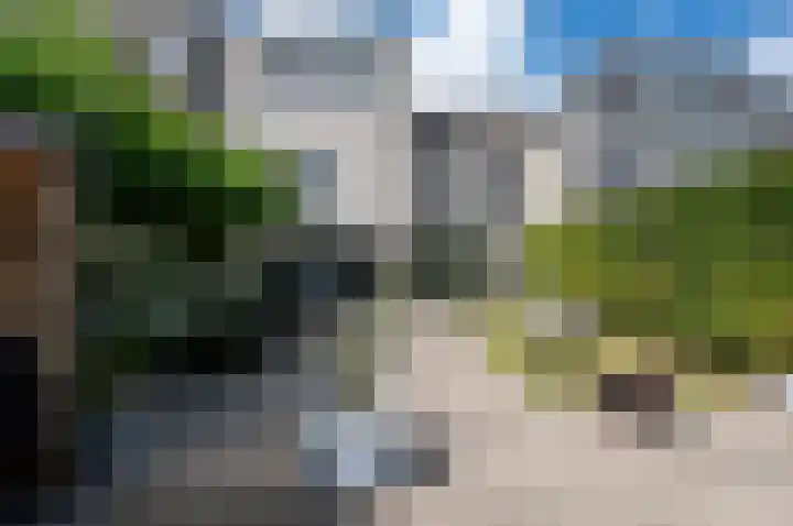 Boelijn 194 Almere thumbnail 19