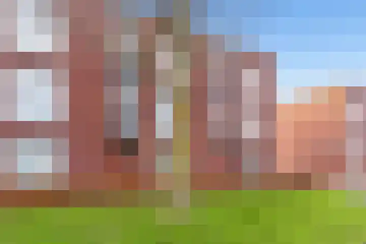 Boelijn 247 Almere thumbnail 4