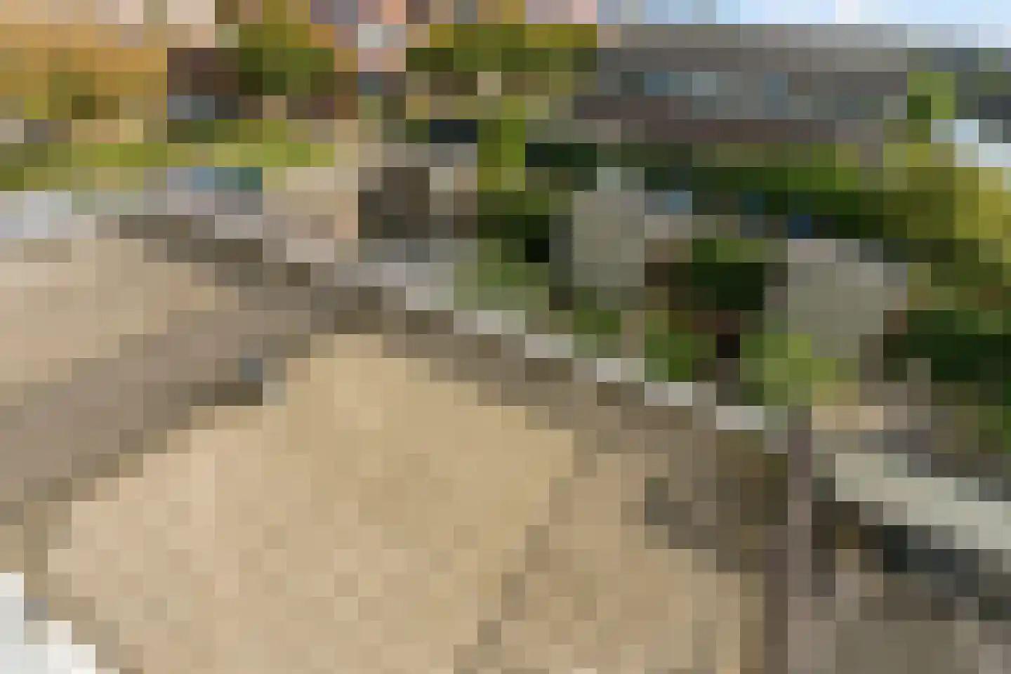 Boelijn 40 Almere thumbnail 46