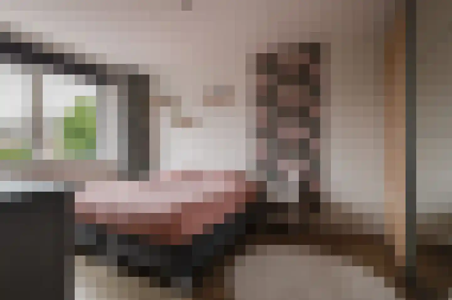 Boeltjesgraaf 20 Culemborg thumbnail 23