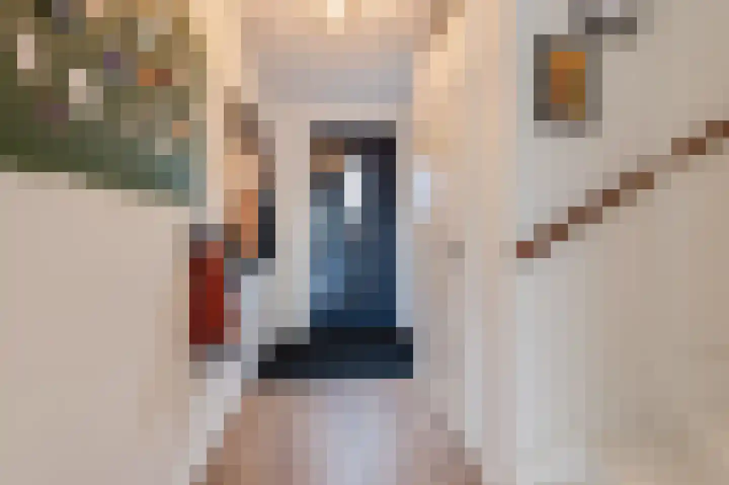 Boeltjesgraaf 20 Culemborg thumbnail 7