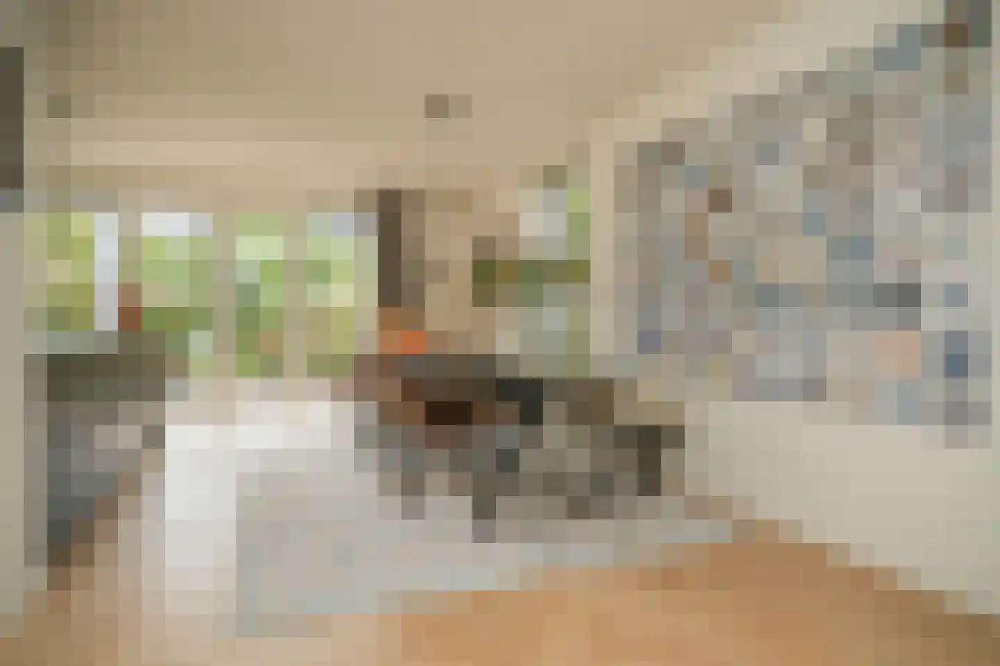 Boeltjesgraaf 3 Culemborg thumbnail 12
