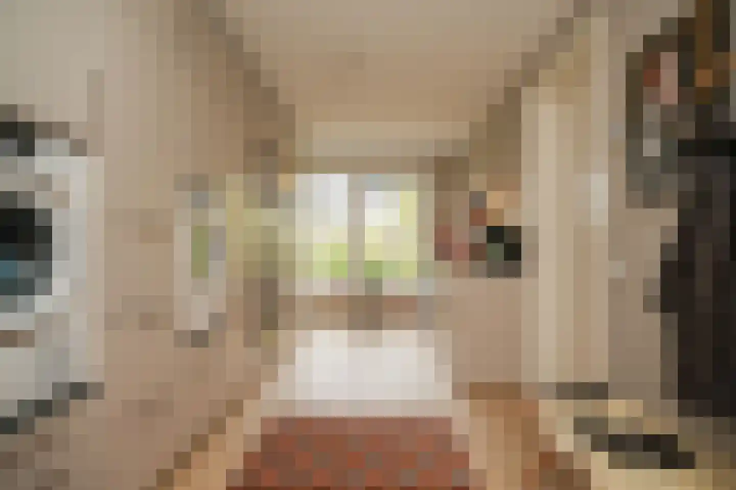 Boeltjesgraaf 3 Culemborg thumbnail 19