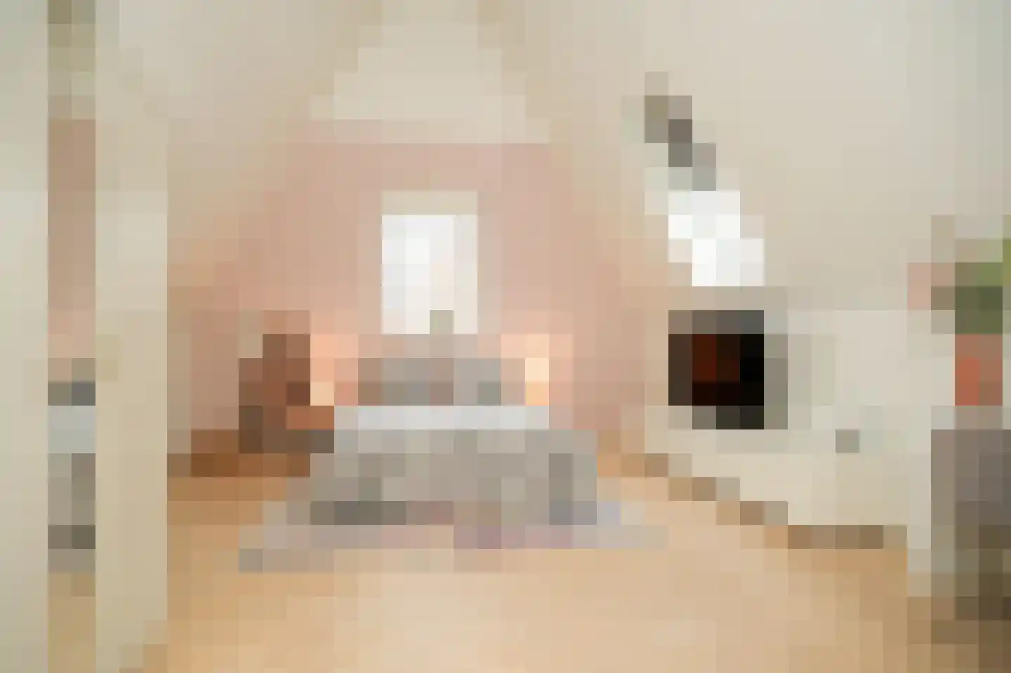 Boeltjesgraaf 3 Culemborg thumbnail 34