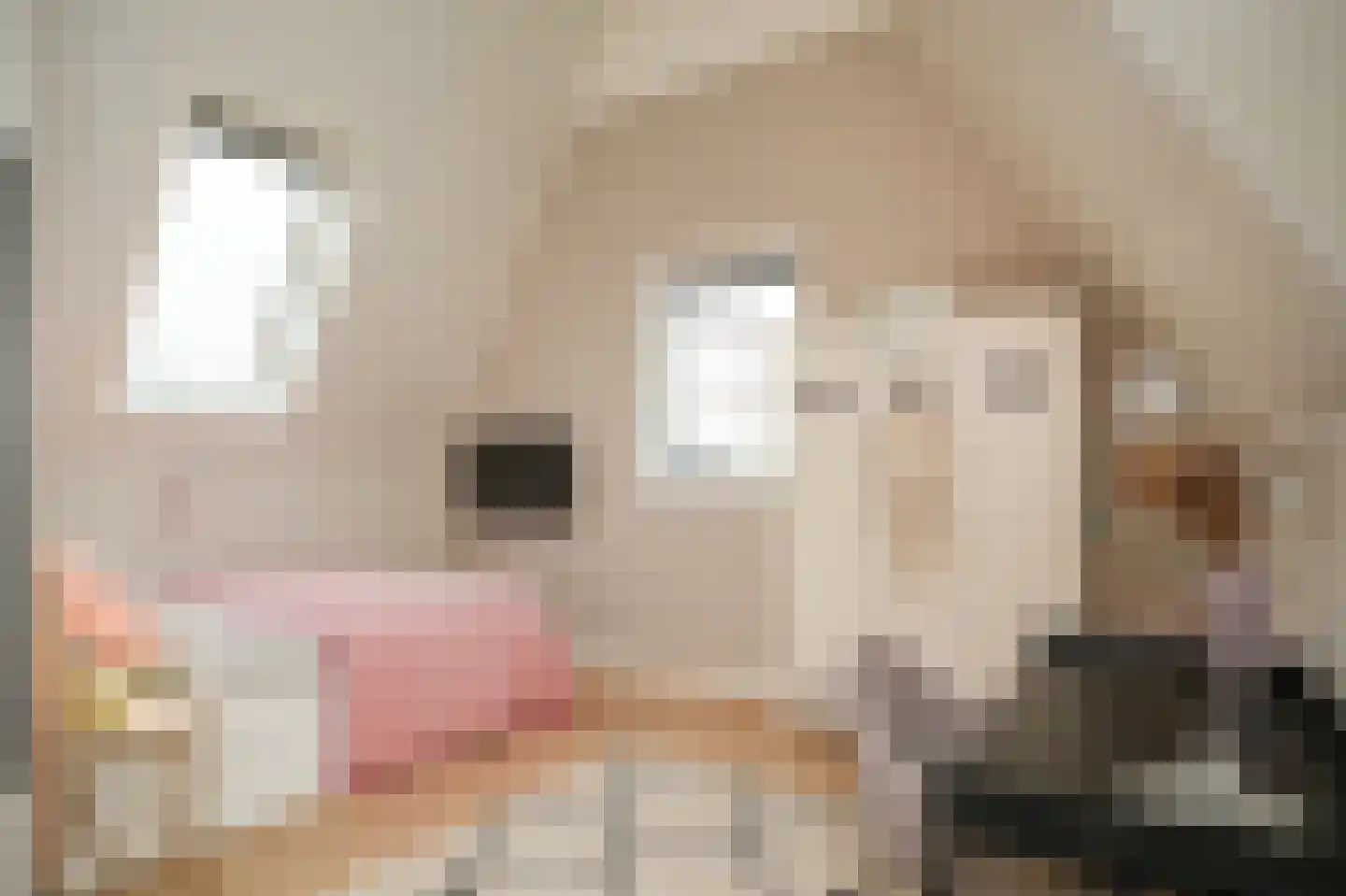 Boeltjesgraaf 3 Culemborg thumbnail 36