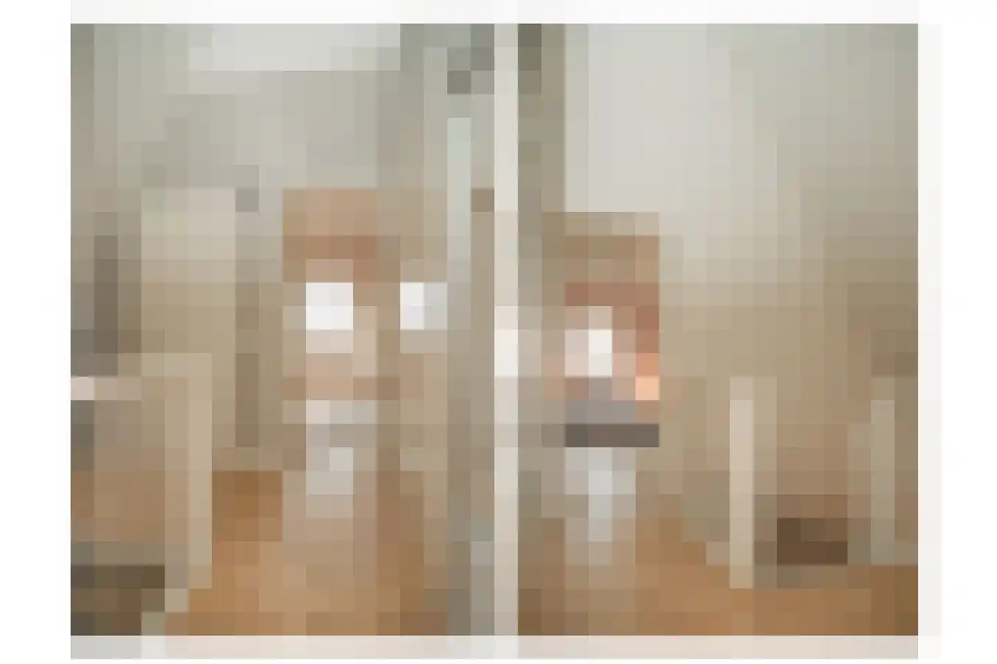 Boeltjesgraaf 3 Culemborg thumbnail 38