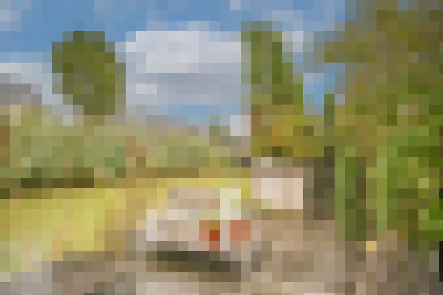 Boeltjesgraaf 3 Culemborg thumbnail 4