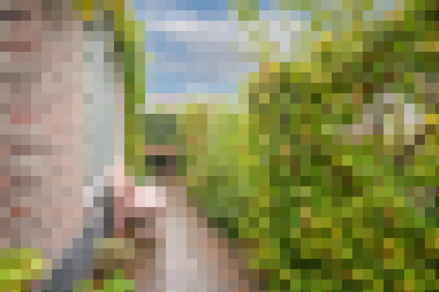 Boeltjesgraaf 3 Culemborg thumbnail 42