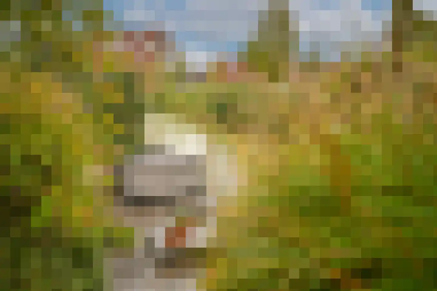 Boeltjesgraaf 3 Culemborg thumbnail 43