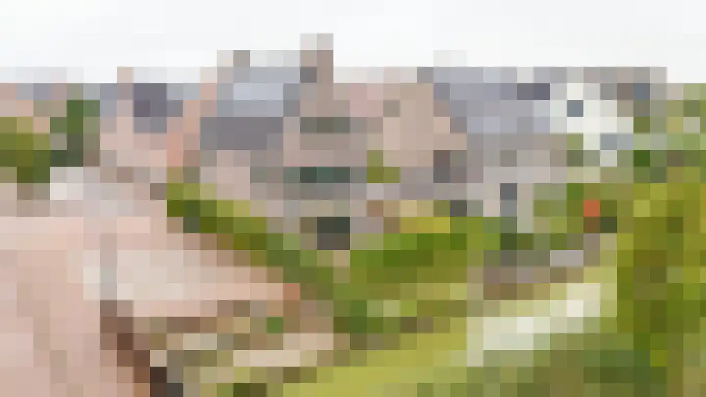 Boeltjesgraaf 3 Culemborg thumbnail 53