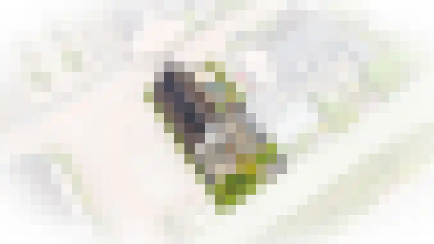 Boeltjesgraaf 3 Culemborg thumbnail 54