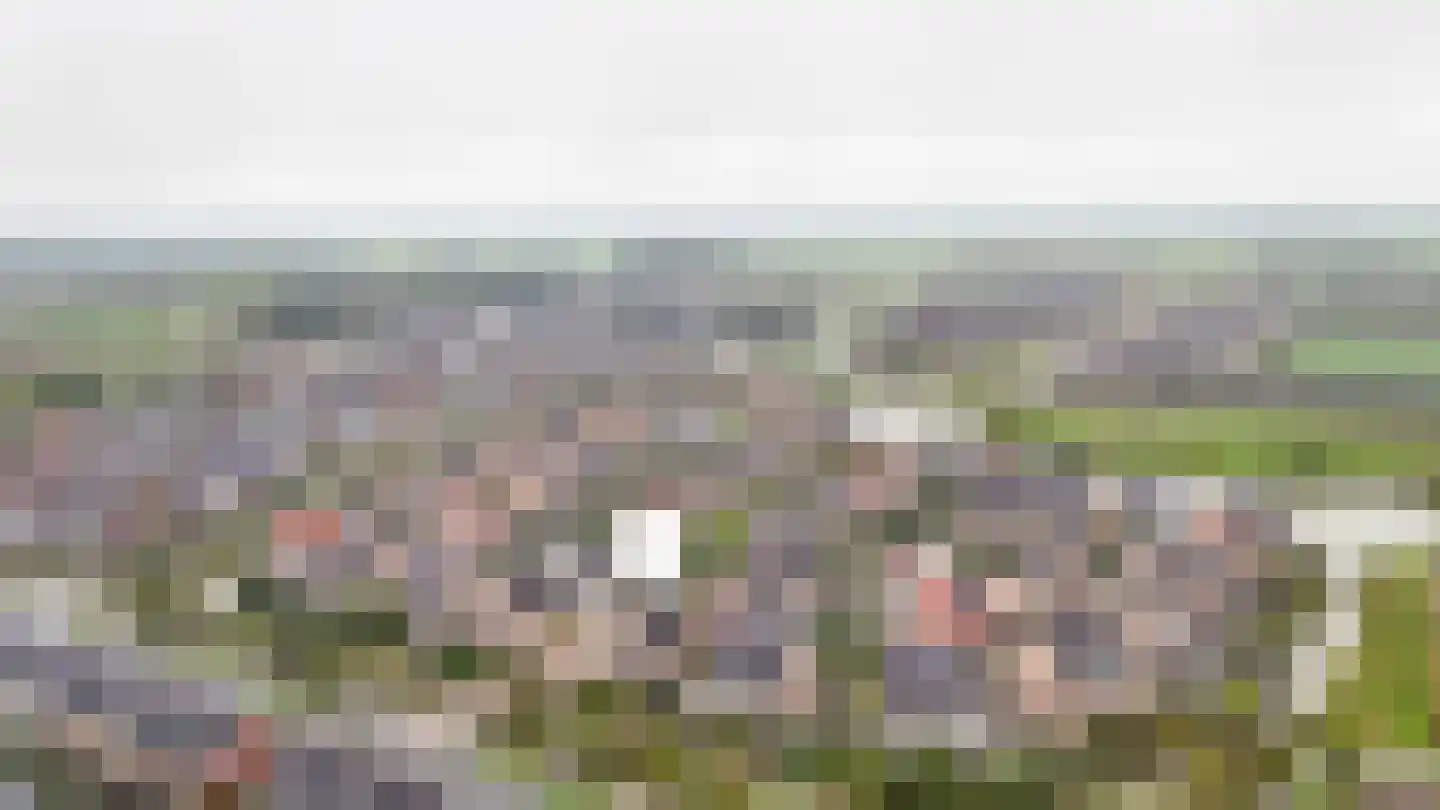 Boeltjesgraaf 3 Culemborg thumbnail 57