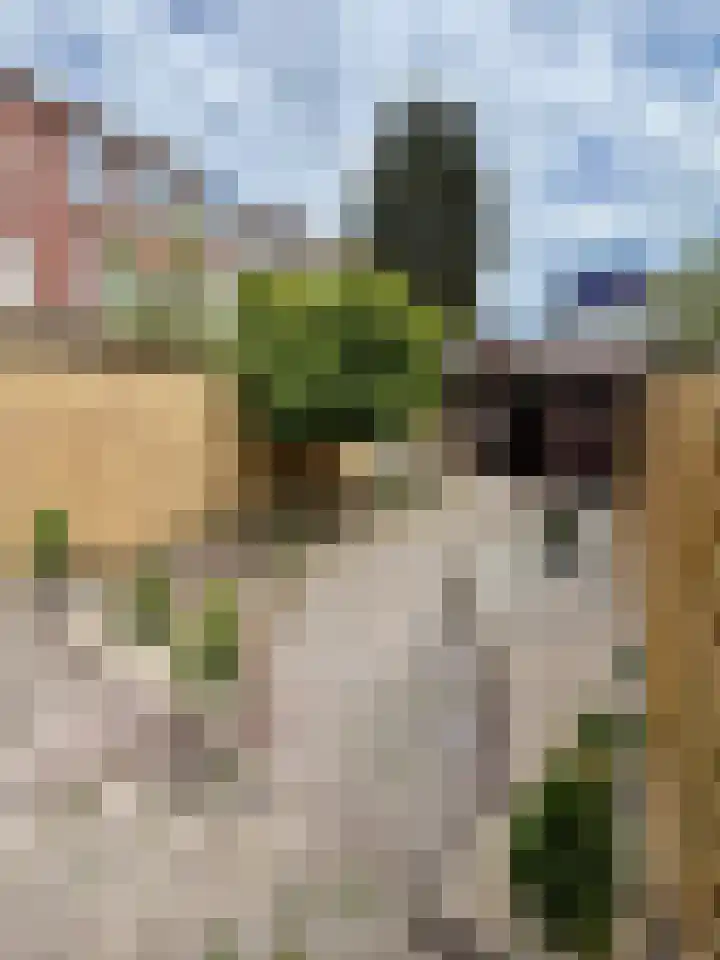 Boendalestraat 2 Den Haag thumbnail 12