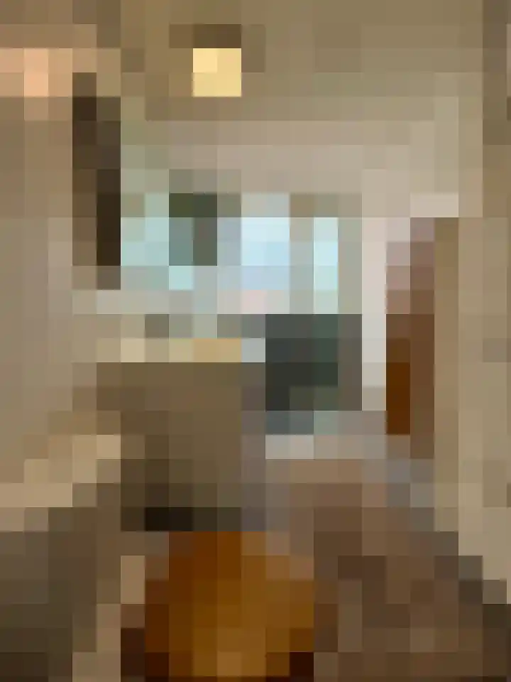 Boendalestraat 2 Den Haag thumbnail 16