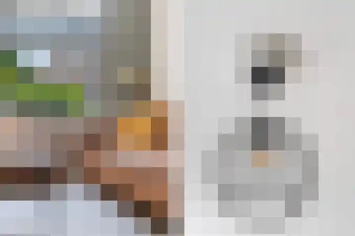 Boendalestraat 59 Den Haag thumbnail 6