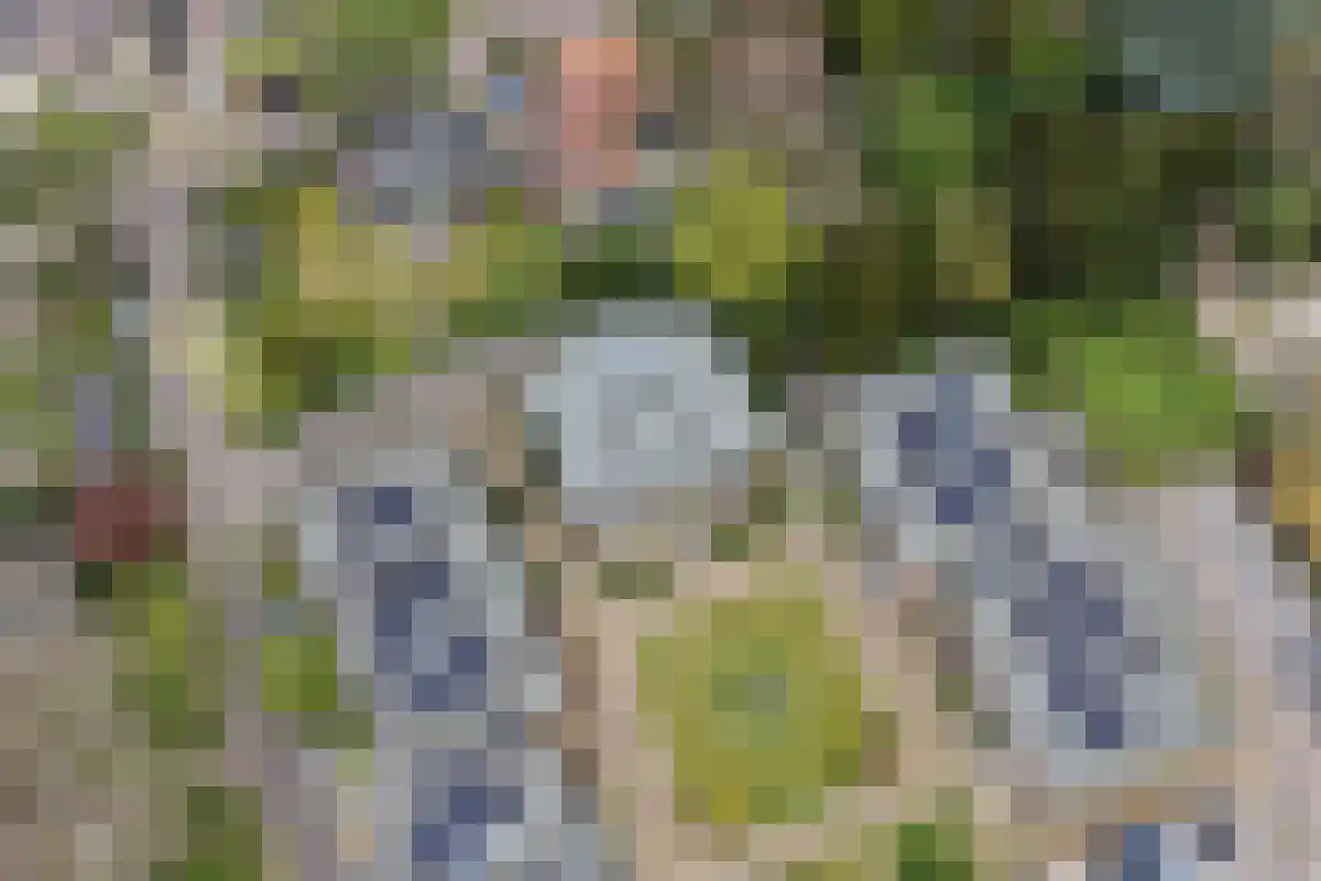 Boendermakerhof 1 Bergen (NH) thumbnail 36