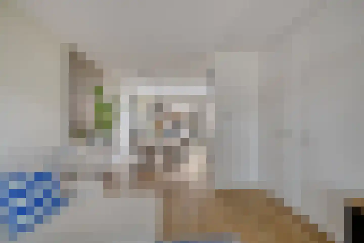 Boendermakerpad 1 Breda thumbnail 11