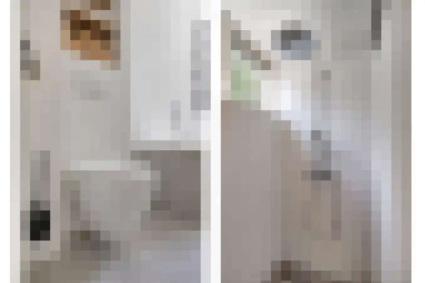 Boendermakerpad 1 Breda thumbnail 24