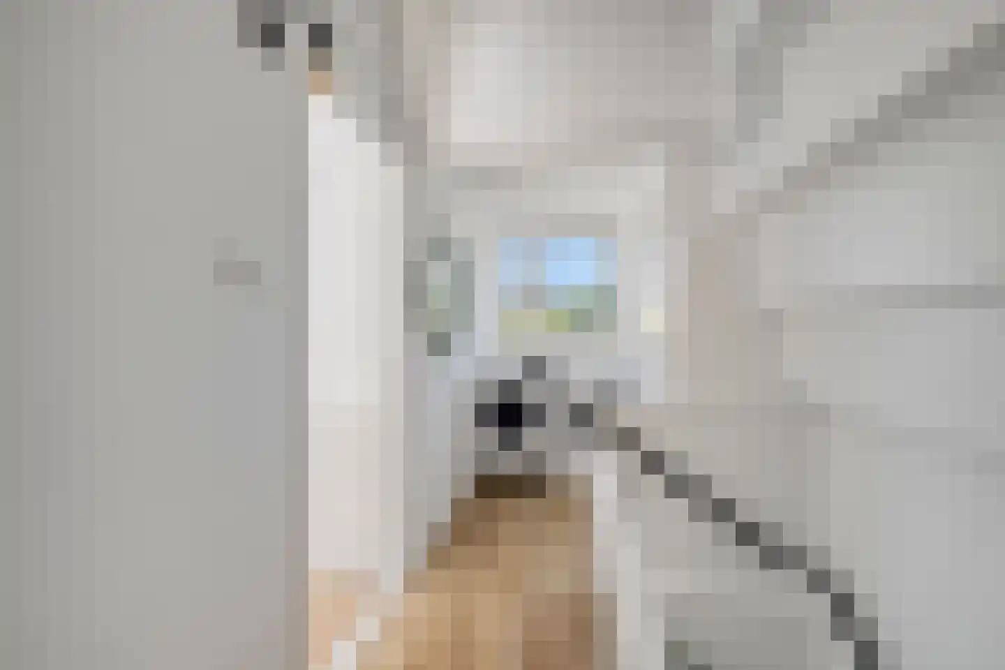 Boendermakerpad 1 Breda thumbnail 29
