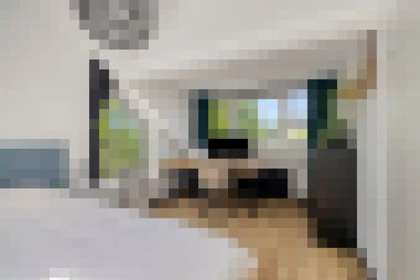 Boendermakerpad 1 Breda thumbnail 30