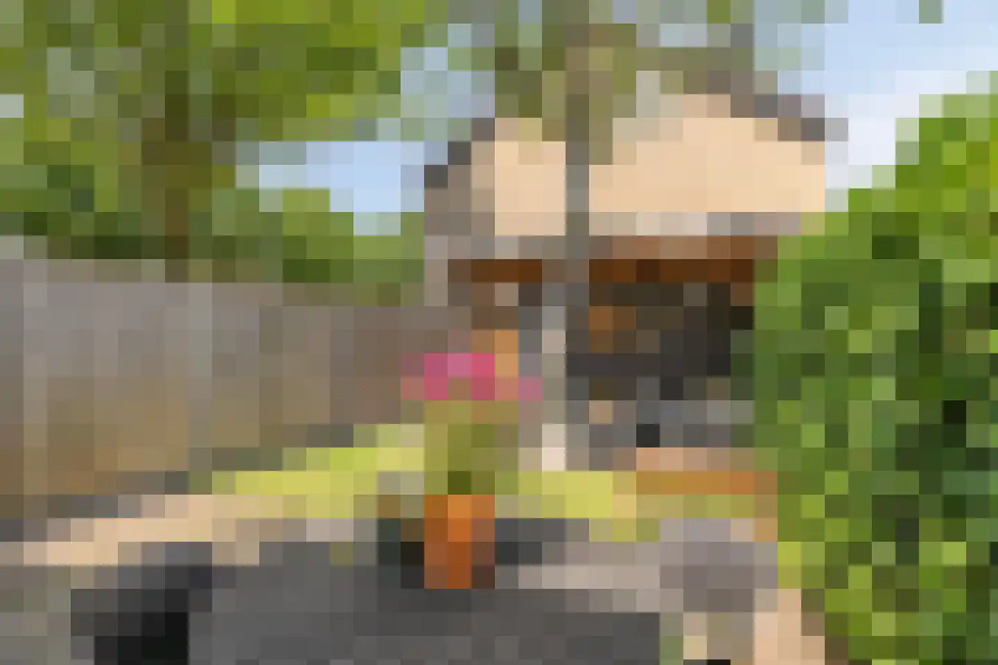 Boendermakerpad 1 Breda thumbnail 34